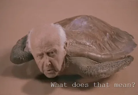 https://i.giphy.com/media/1SZAA5izDA6Ji/giphy.webp